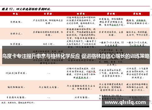 乌度卡专注提升申京与格林化学反应 促进格林自信心增长的训练策略